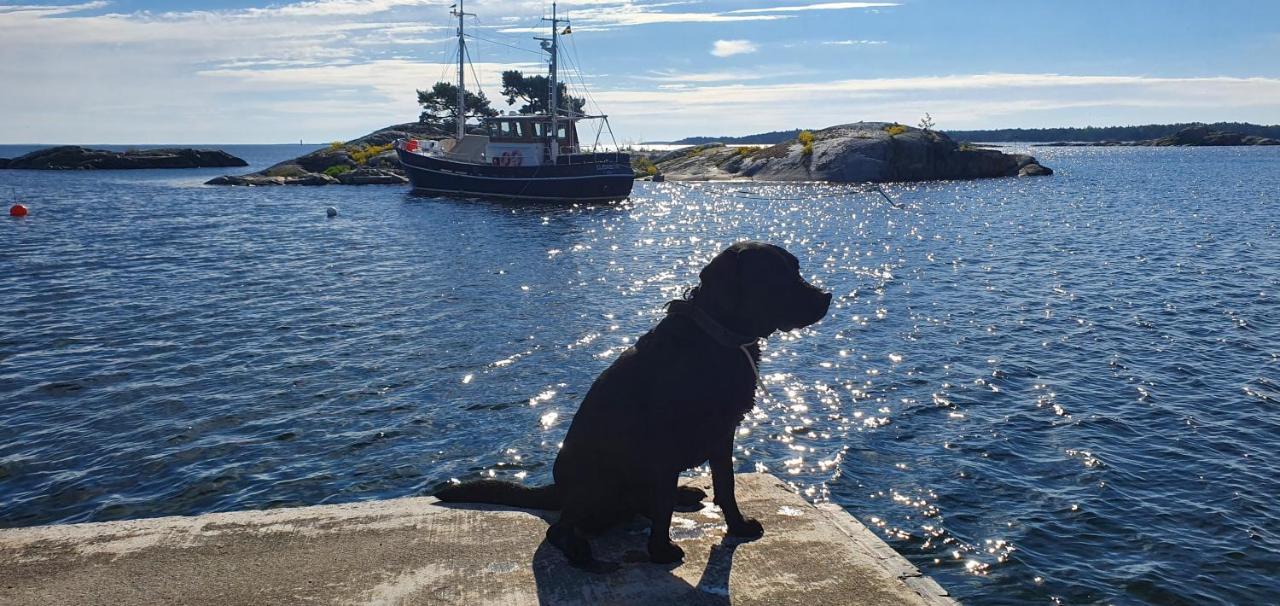 Moeja I Stockholms Skaergard 斯德哥尔摩